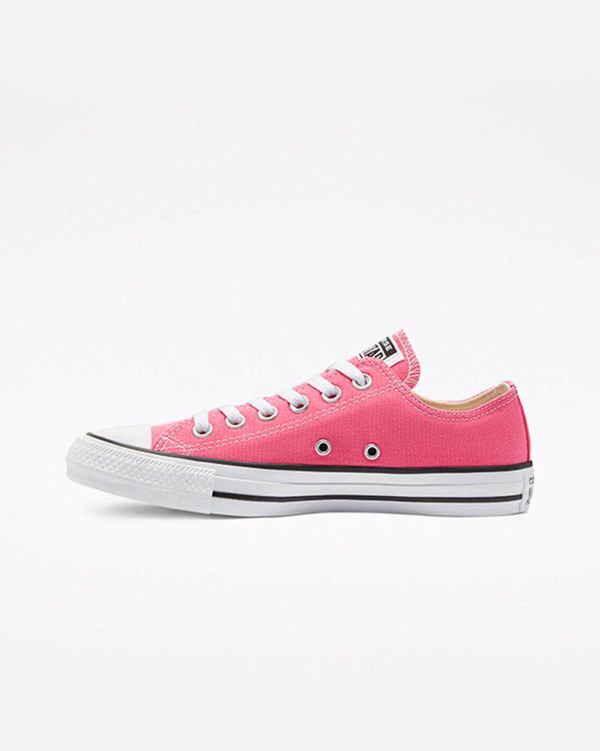 Tenis Converse Chuck Taylor All Star Classicos Cano Baixo Masculino Rosa | PT E0P8504